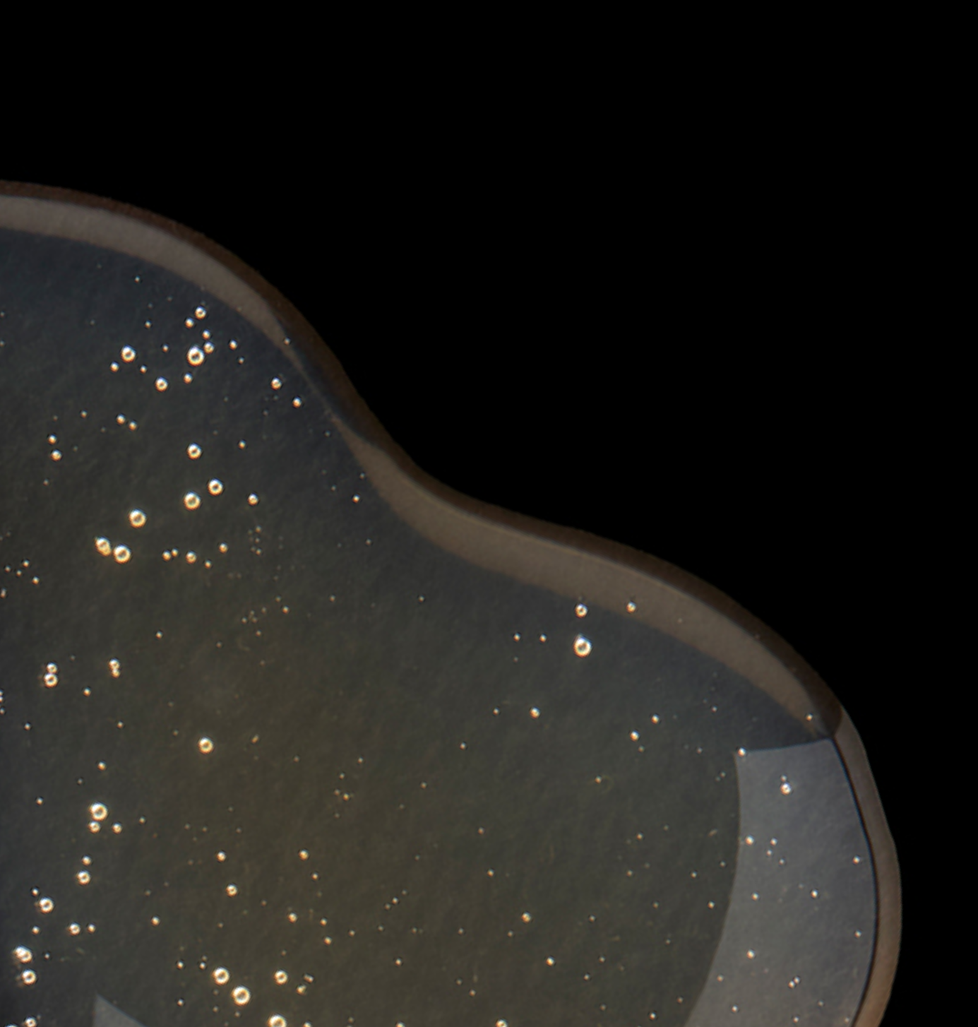 Close-up of a textured surface with small reflective spots on a black background