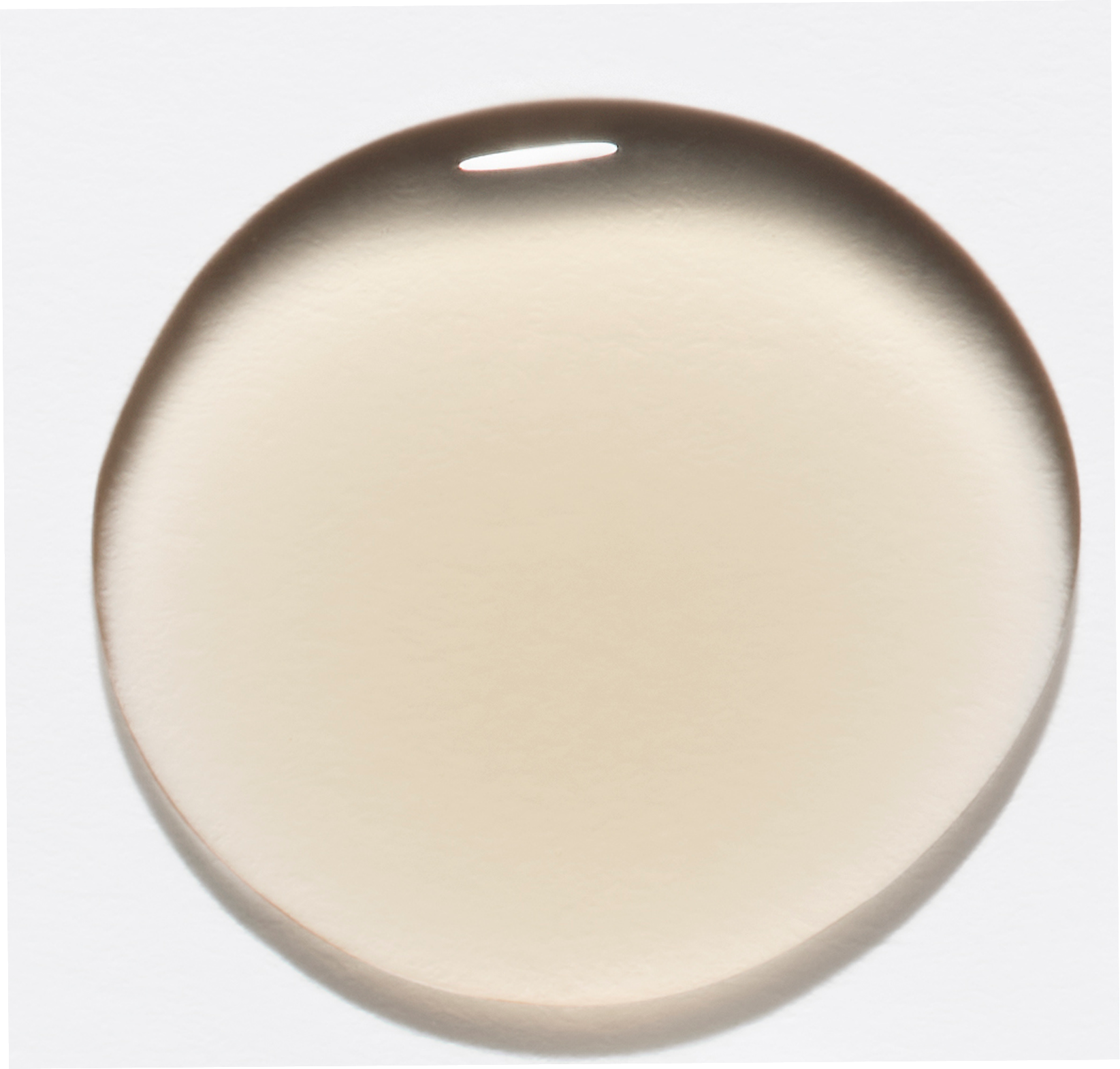 Round beige object on a white background