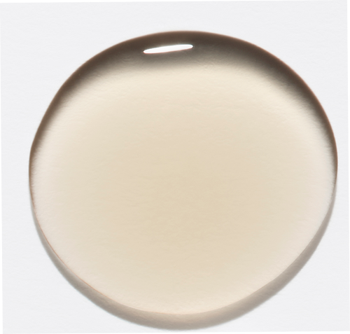Round beige object on a white background