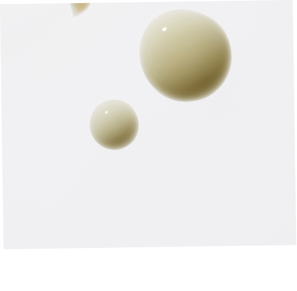 Pair of beige earrings on a white background