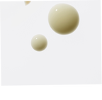 Pair of beige earrings on a white background