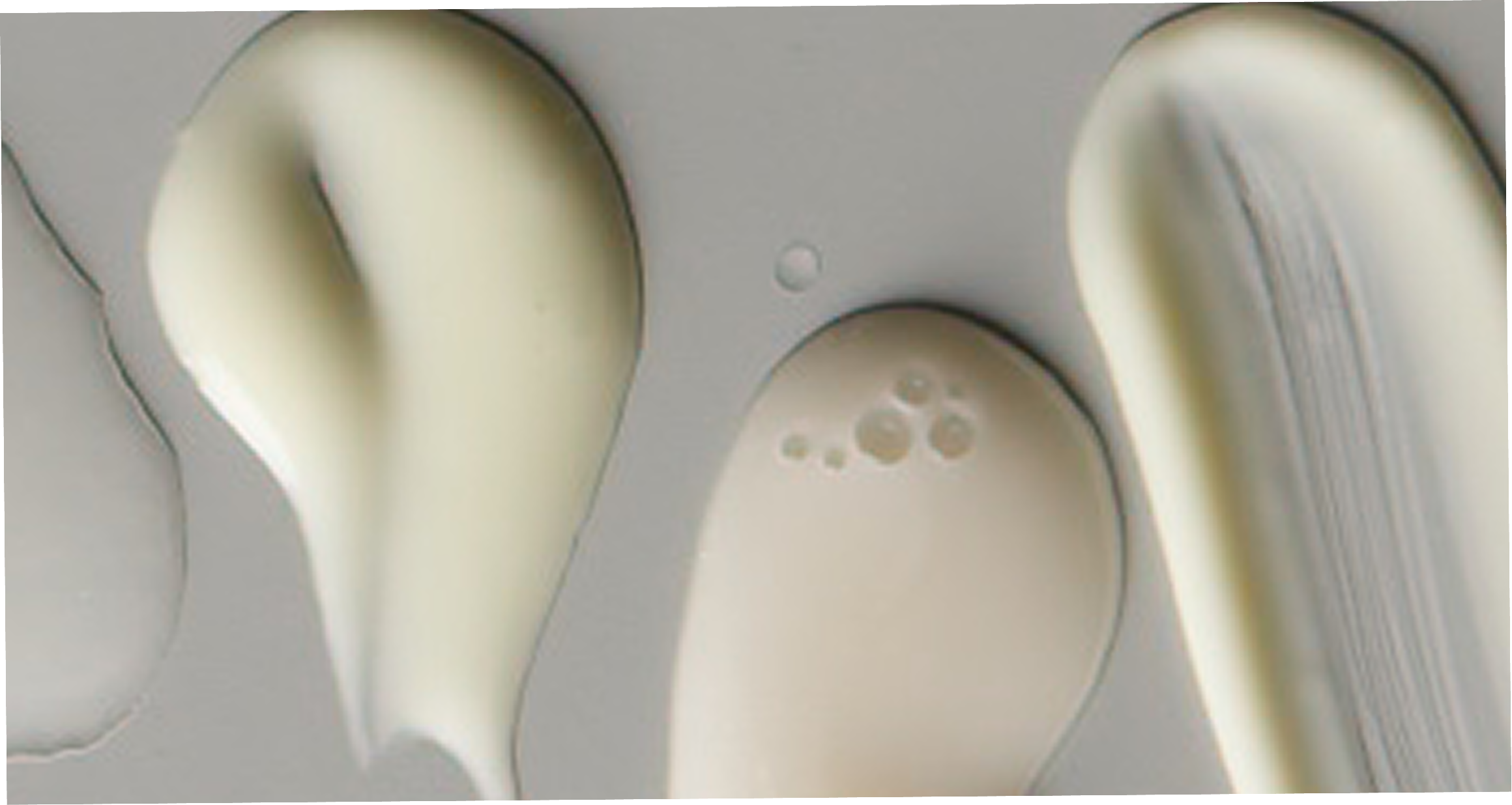 Close-up of three beige-colored oval objects on a gray background